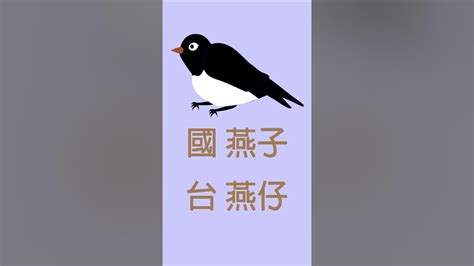 燕子台語